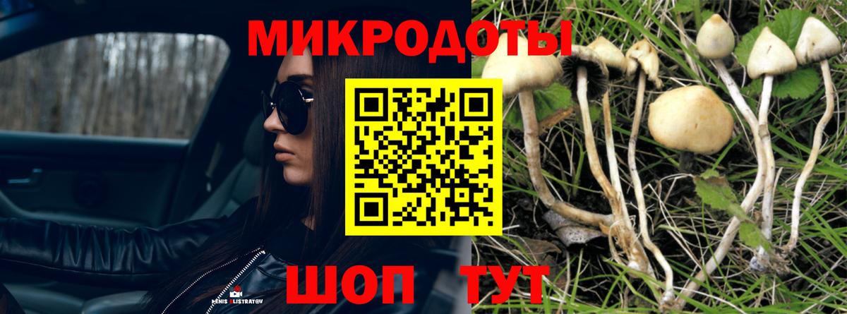 Галлюциногенные грибы Magic Shrooms Нягань