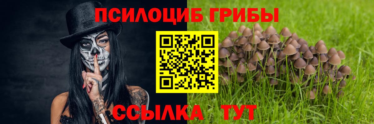 Нягань  Галлюциногенные грибы Cubensis  цена   Вход с VPN 